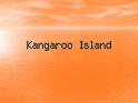 Kangaroo Island (1)